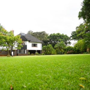 20 Hurworth Road Yard